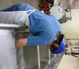 sink Scrubbing the sink