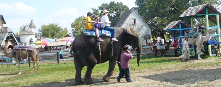 elephantride