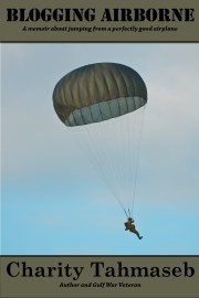 Blogging Airborne final