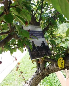 Coming soon to a local branch near you!